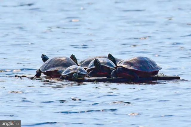 $245,000 | 438 Ocean Parkway, Unit 44, Ocean Pines, MD 21811