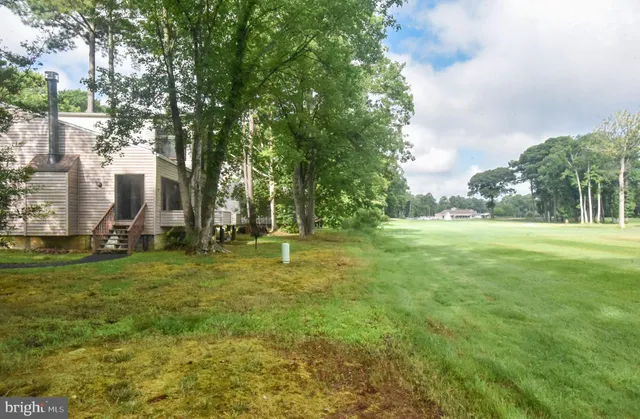 a view of a park with large trees