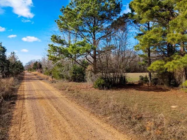 a view of backyard with large trees