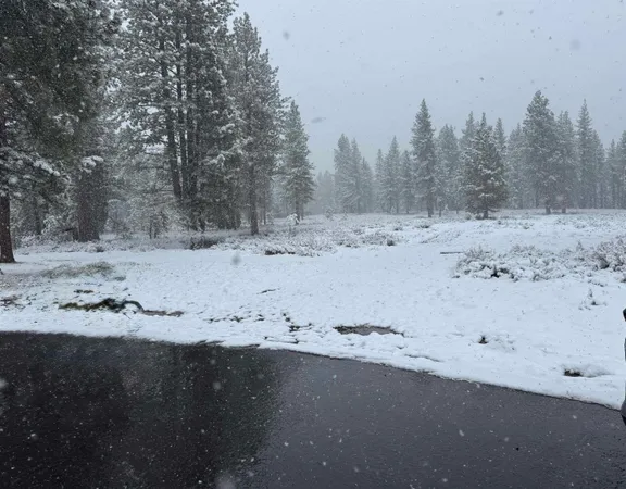 a view of a snow on the field