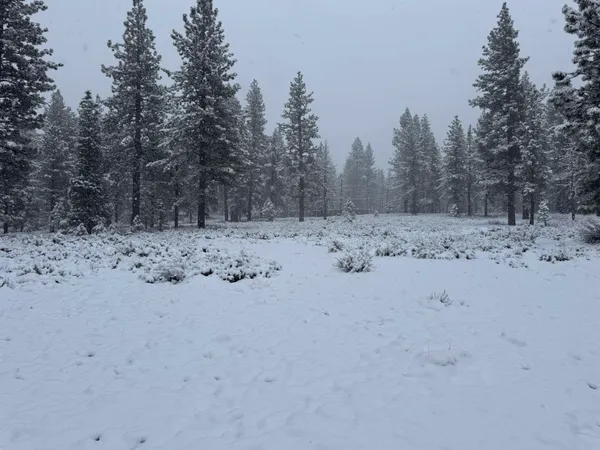 a view of a dry yard with snow on the road