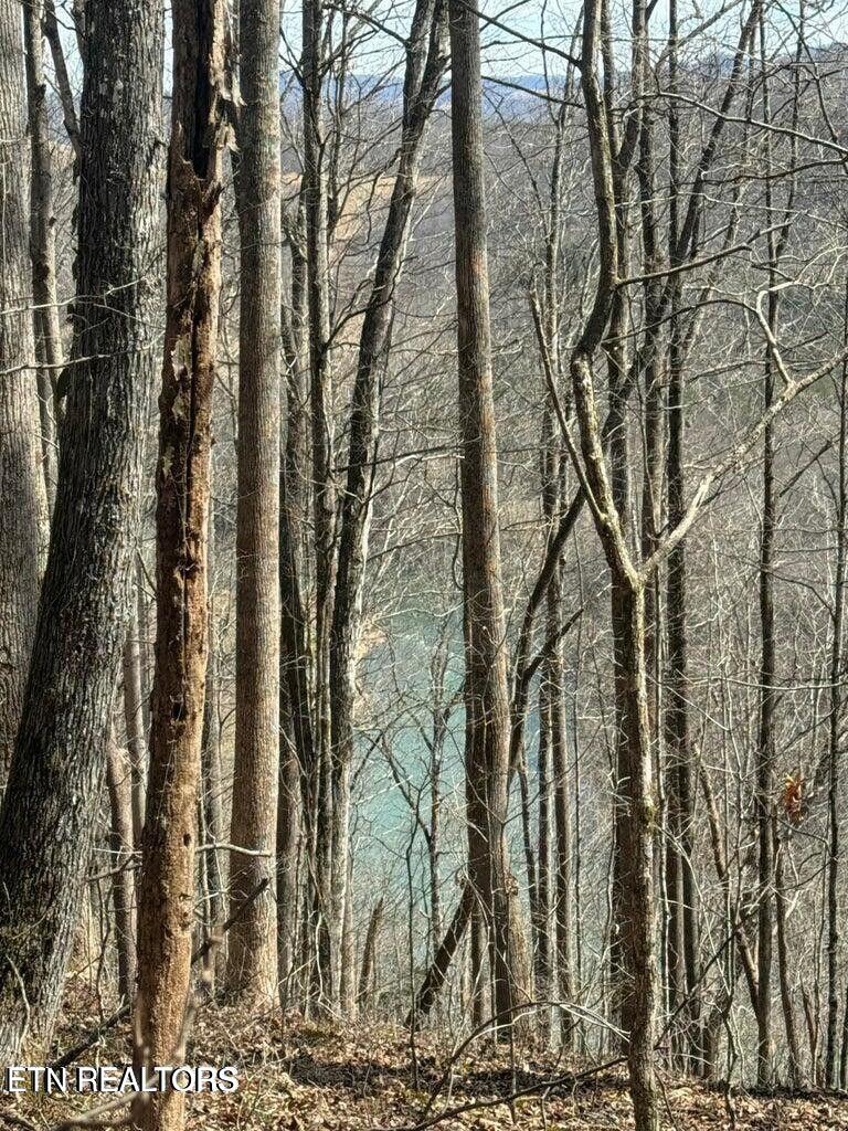 0 Jackson Ridge Road Tazewell, TN 37879 - Photo 11 of 28 WATER VIEWS 180 VIEWS