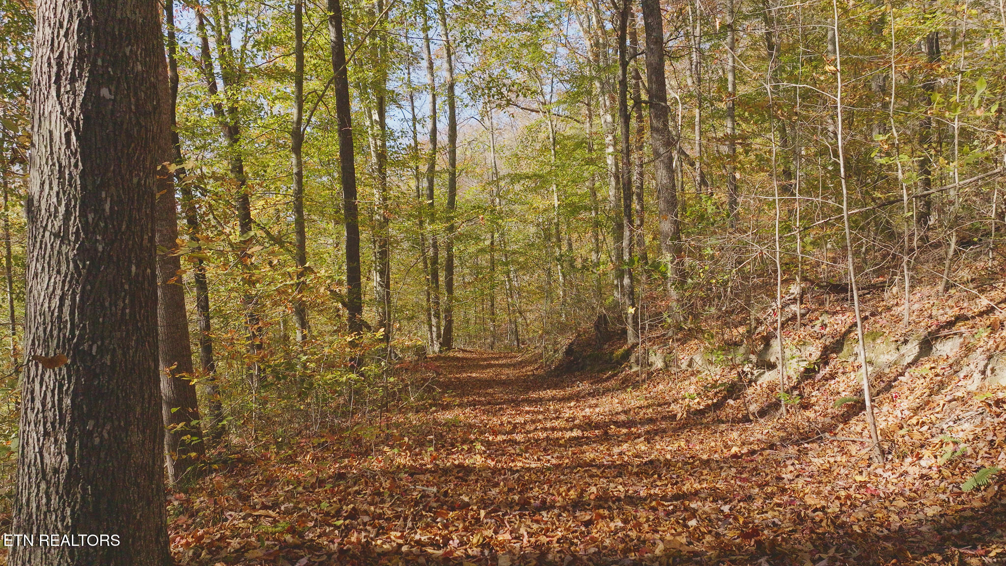 0 Jackson Ridge Road Tazewell, TN 37879 - Photo 12 of 28 Untitled_1.2.1