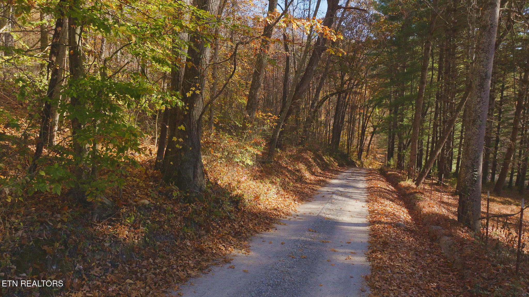0 Jackson Ridge Road Tazewell, TN 37879 - Photo 21 of 28 beautiful country roads year round