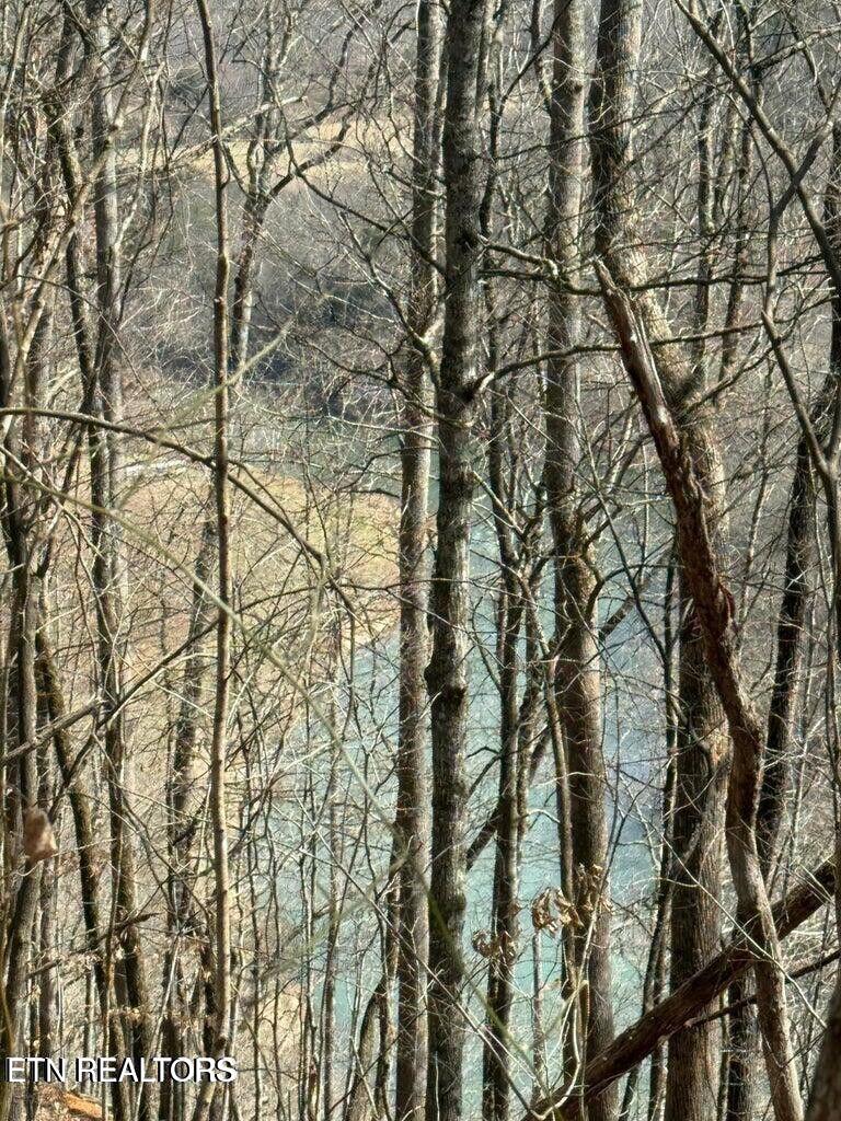 0 Jackson Ridge Road Tazewell, TN 37879 - Photo 22 of 28 RIVER VIEWS