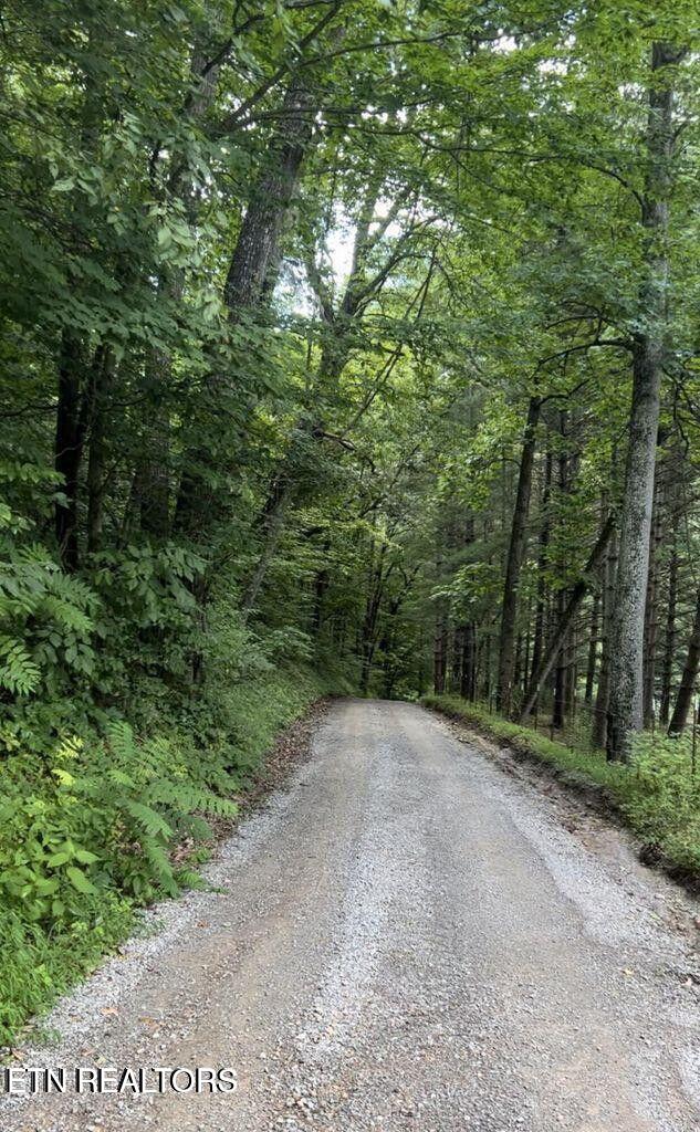 0 Jackson Ridge Road Tazewell, TN 37879 - Photo 23 of 28 COUNTRY ROADS