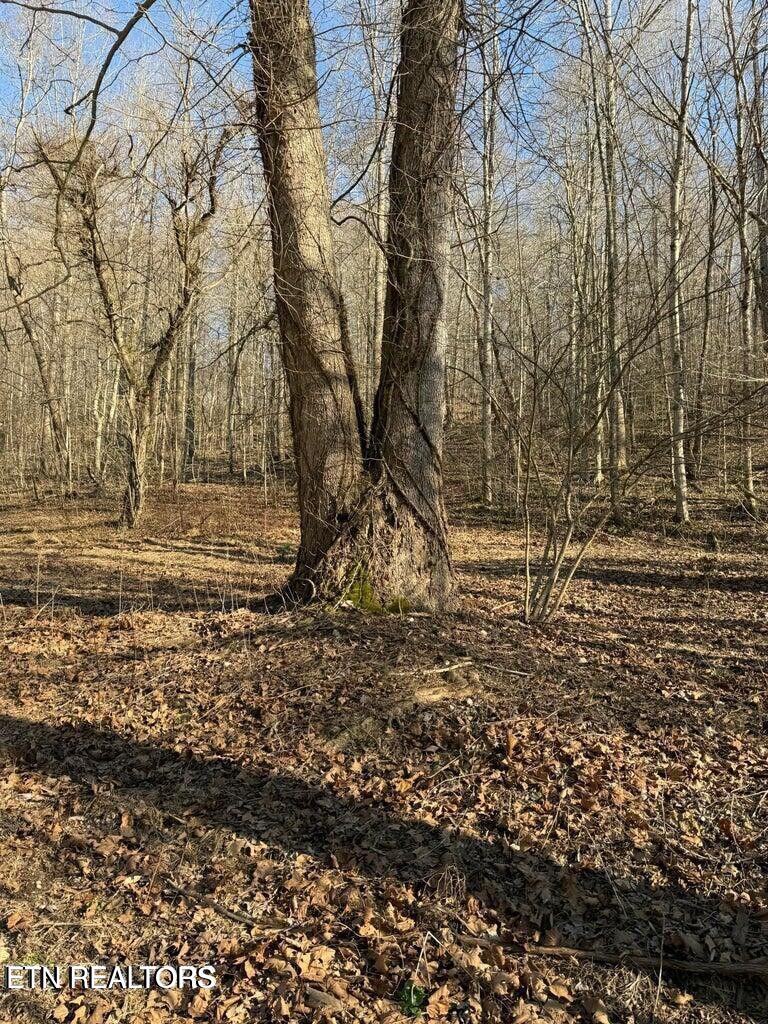 0 Jackson Ridge Road Tazewell, TN 37879 - Photo 5 of 28 WONDERFUL HOMESITE HUGE