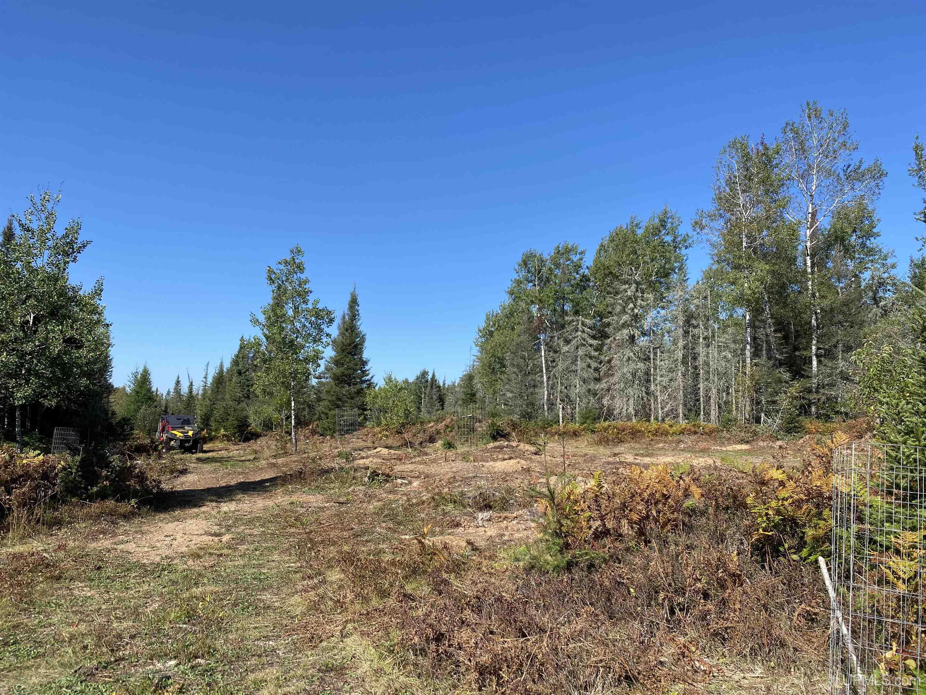 5586 South Helen Lake Road Ishpeming, MI 49849 - Photo 46 of 54