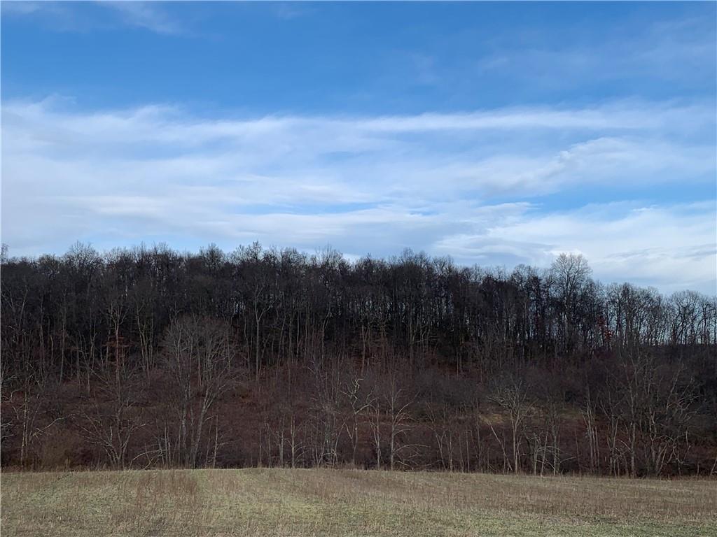 285 Wherry School Road Spring Church, PA 15686 - Photo 3 of 3 Gallery Image 3