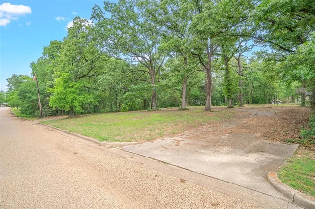a view of a field with trees in the background