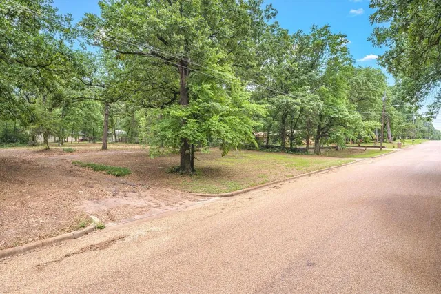 a view of a yard with a tree