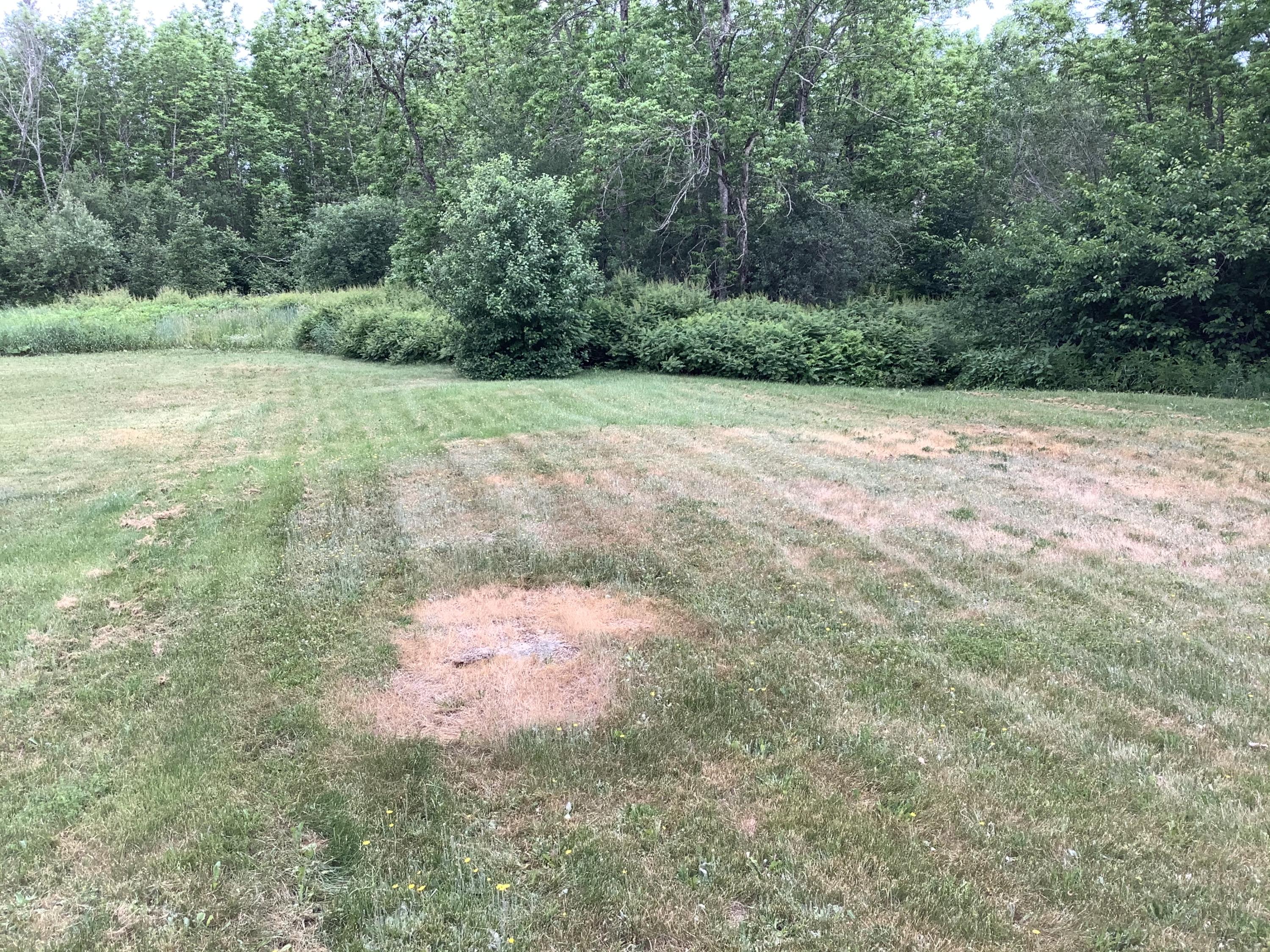 1001 Masardis Road Masardis, ME 04732 - Photo 69 of 70 6715CBB3-CAE4-4C85-AEAB-0C784ABA0F9B