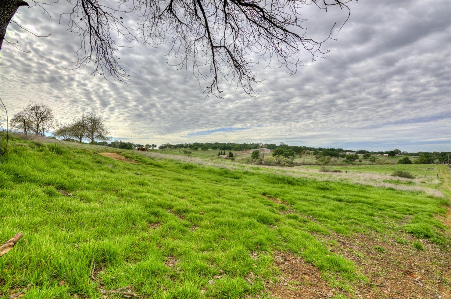 7740 North Forbes Road Lincoln, CA 95648 - Photo 8 of 13 Gallery Image 8