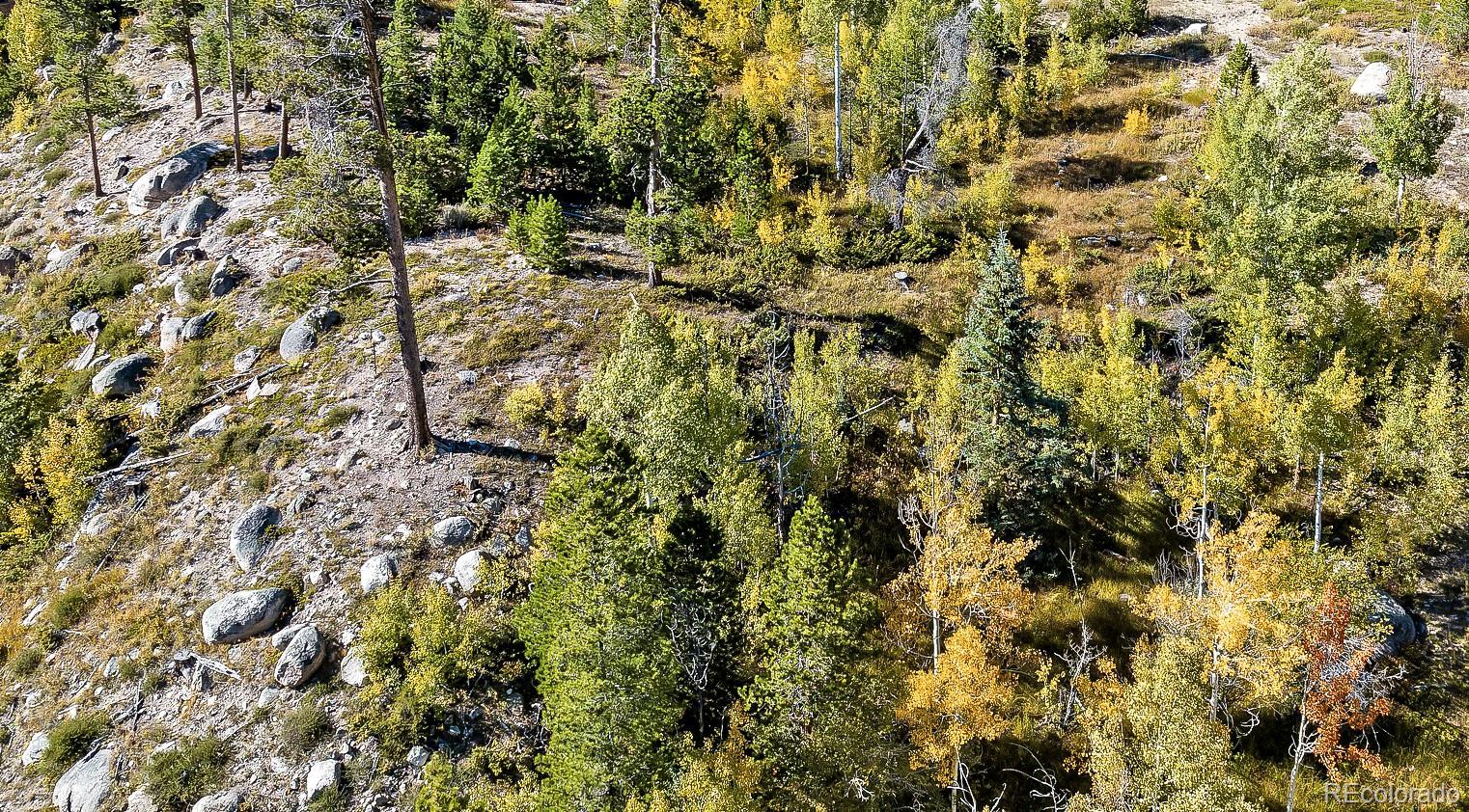 932 Old Tonahutu Ridge Road Grand Lake, CO 80447 - Photo 24 of 34 a view of a yard of a building