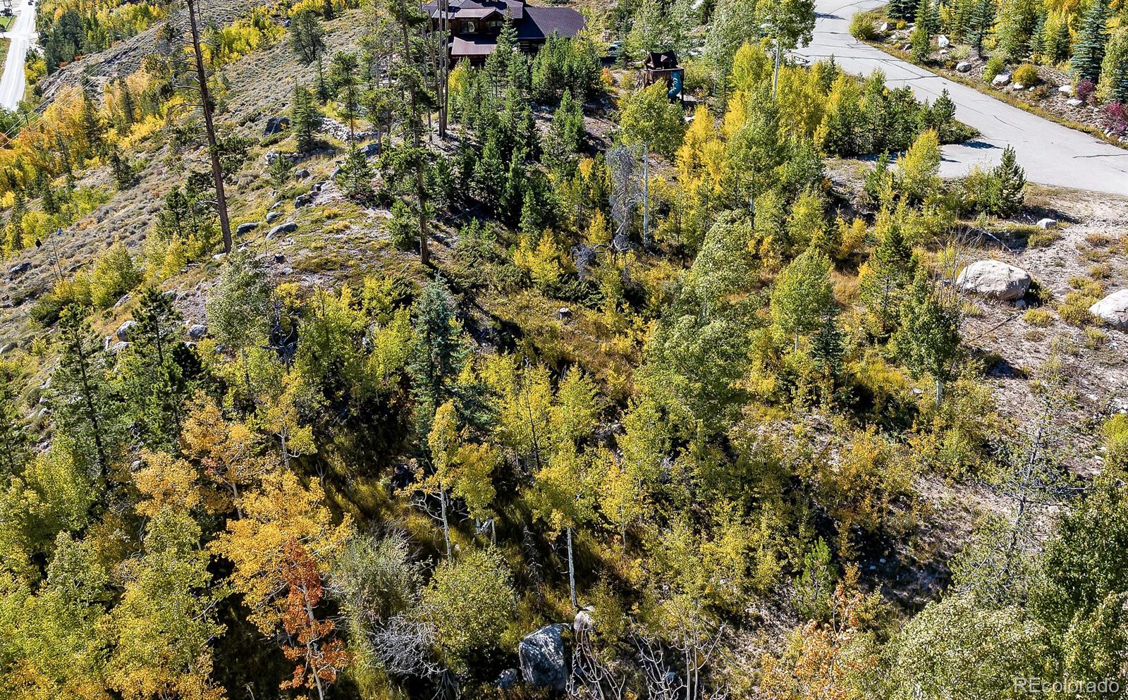 932 Old Tonahutu Ridge Road Grand Lake, CO 80447 - Photo 25 of 34 a view of a yard with a plant