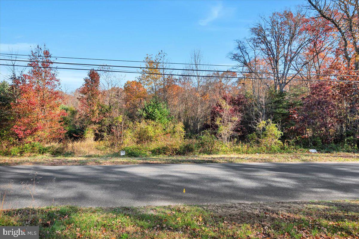 604 Johnson Road Sicklerville, NJ 08081 - Photo 4 of 4 a view of a yard next to a road