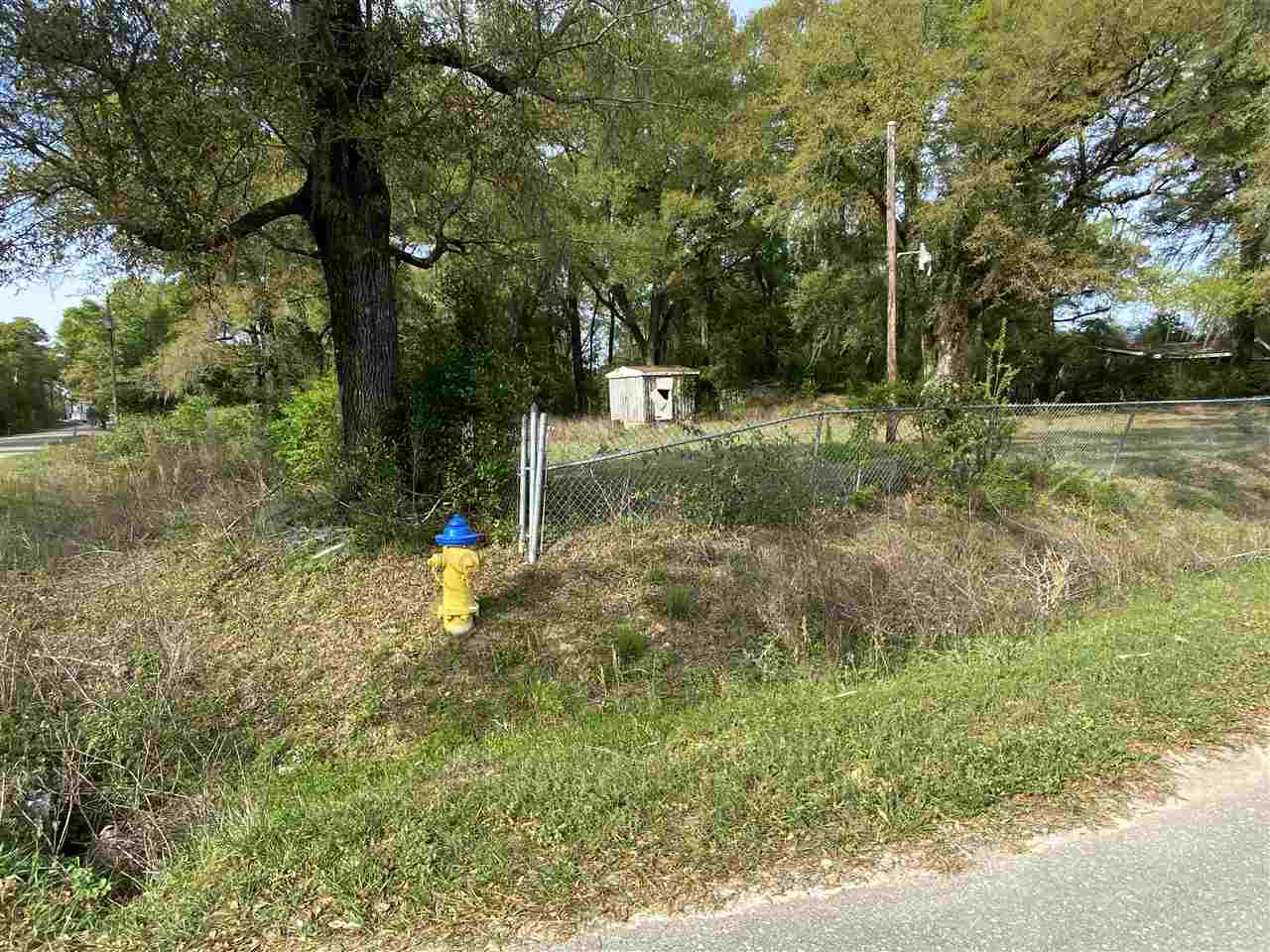 4937 Ruthenia Road, Unit 4 Tallahassee, FL 32305 - Photo 5 of 5 Gallery Image 5