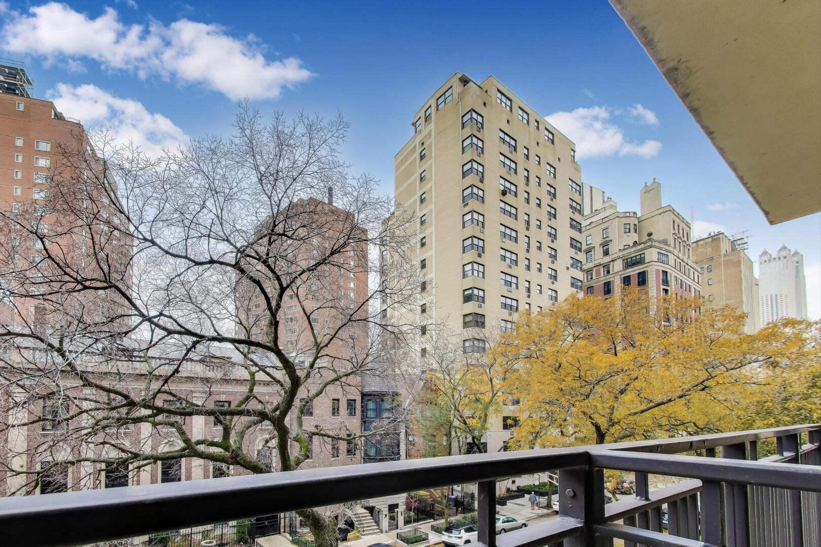 1350 North Astor Street, Unit 4C Chicago, IL 60610 - Photo 19 of 23