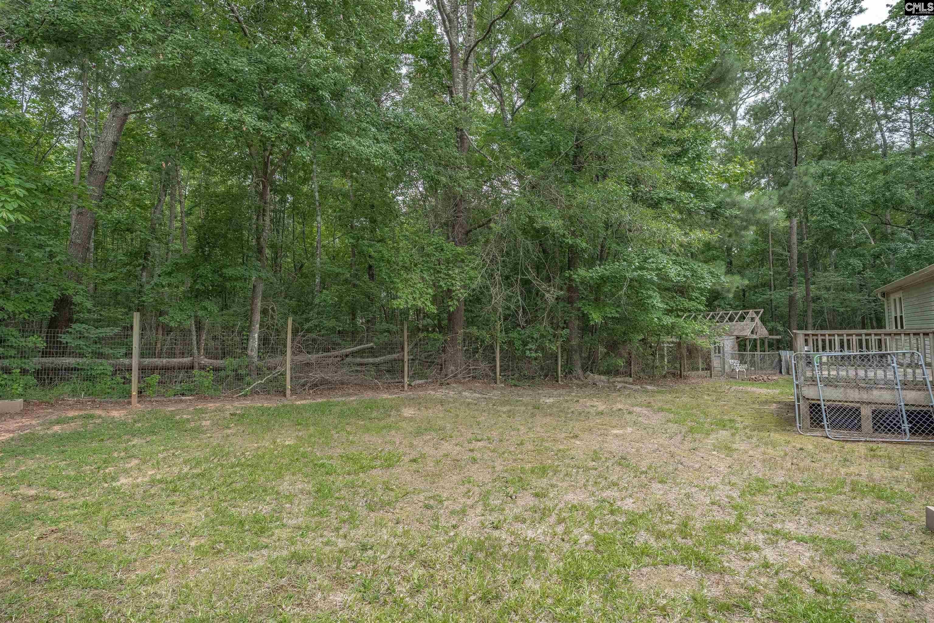 304 Cooper Road Blythewood, SC 29016 - Photo 24 of 29 a backyard of a house with lots of green space and tub