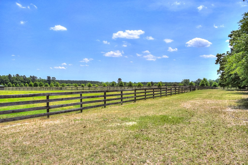 490 Big Tree Road Salley, SC 29137 - Photo 52 of 68