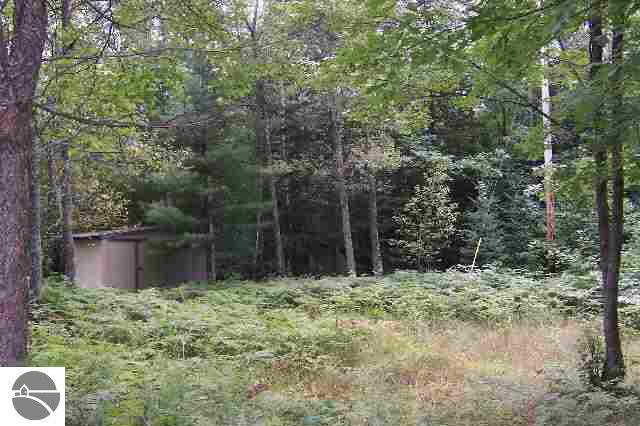 4450 Adams Road Gladwin, MI 48624 - Photo 4 of 8 1762756-3.JPG