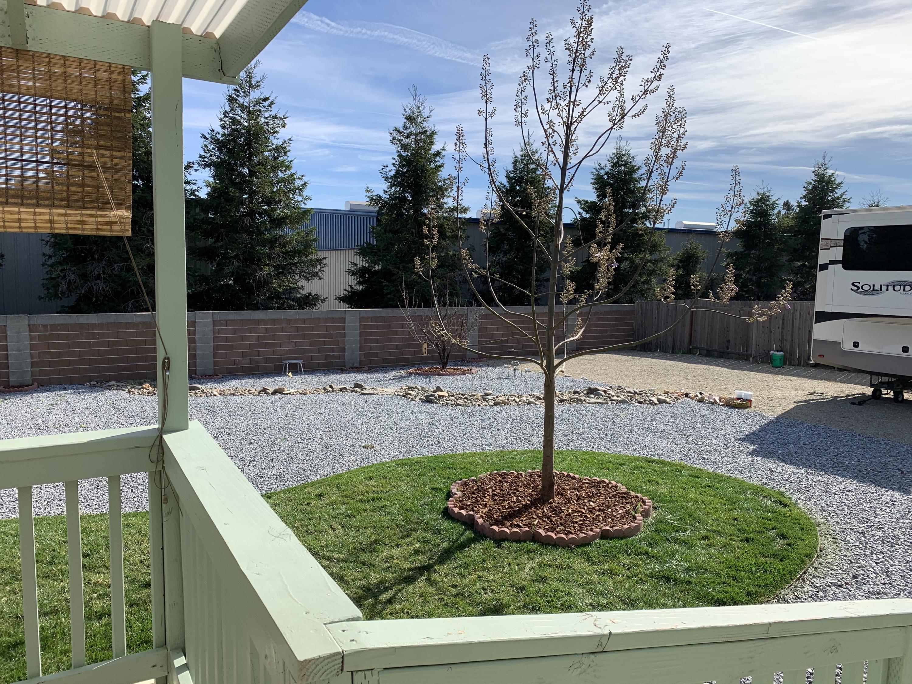 4935 Cedars Road Redding, CA 96001 - Photo 12 of 18 a view of a garden with plants