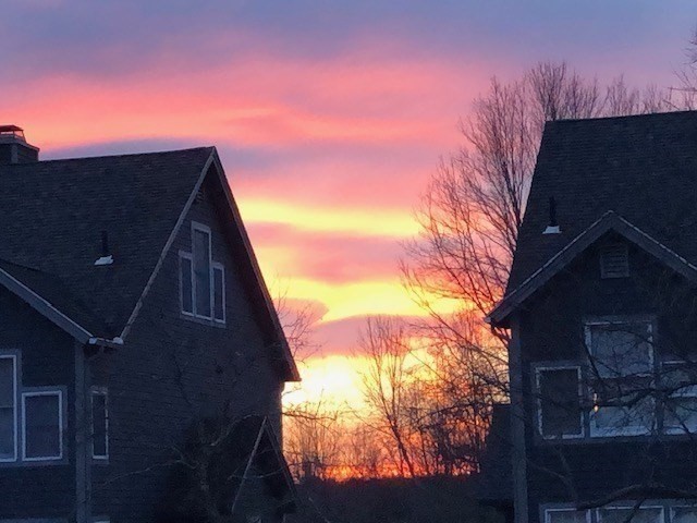 63 Amity Place, Unit 63 Amherst, MA 01002 - Photo 31 of 42 a view of a house with a yard