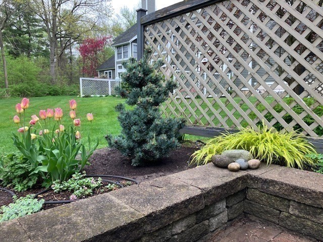 63 Amity Place, Unit 63 Amherst, MA 01002 - Photo 32 of 42