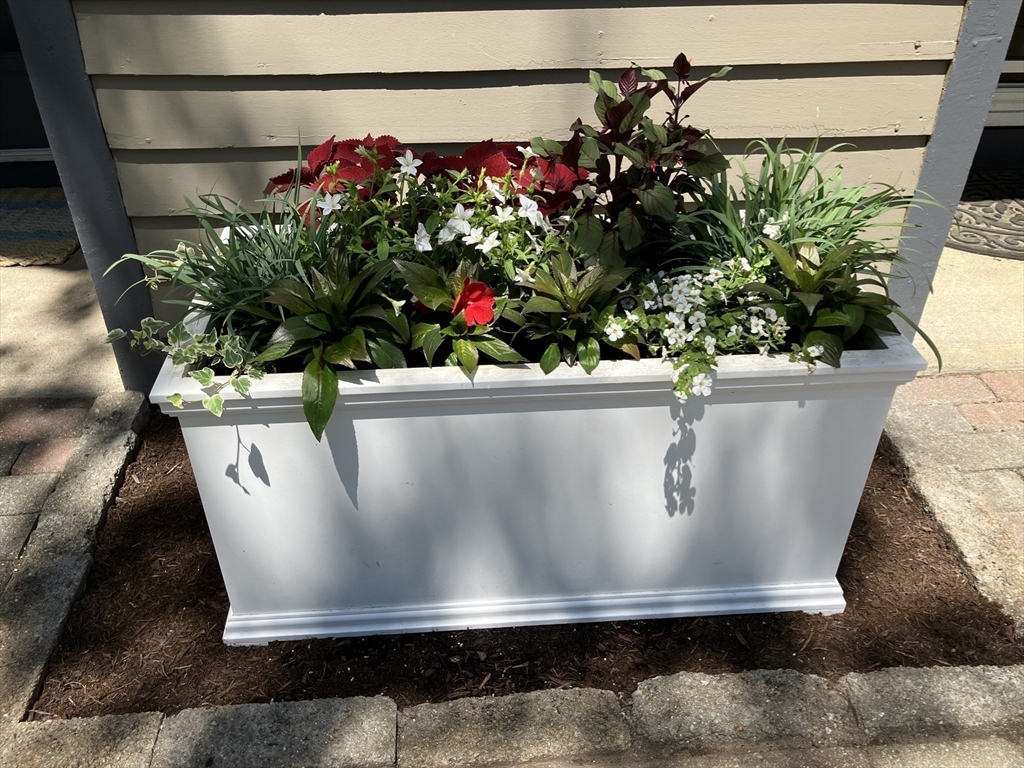 63 Amity Place, Unit 63 Amherst, MA 01002 - Photo 34 of 42 a view of water vase with flowers