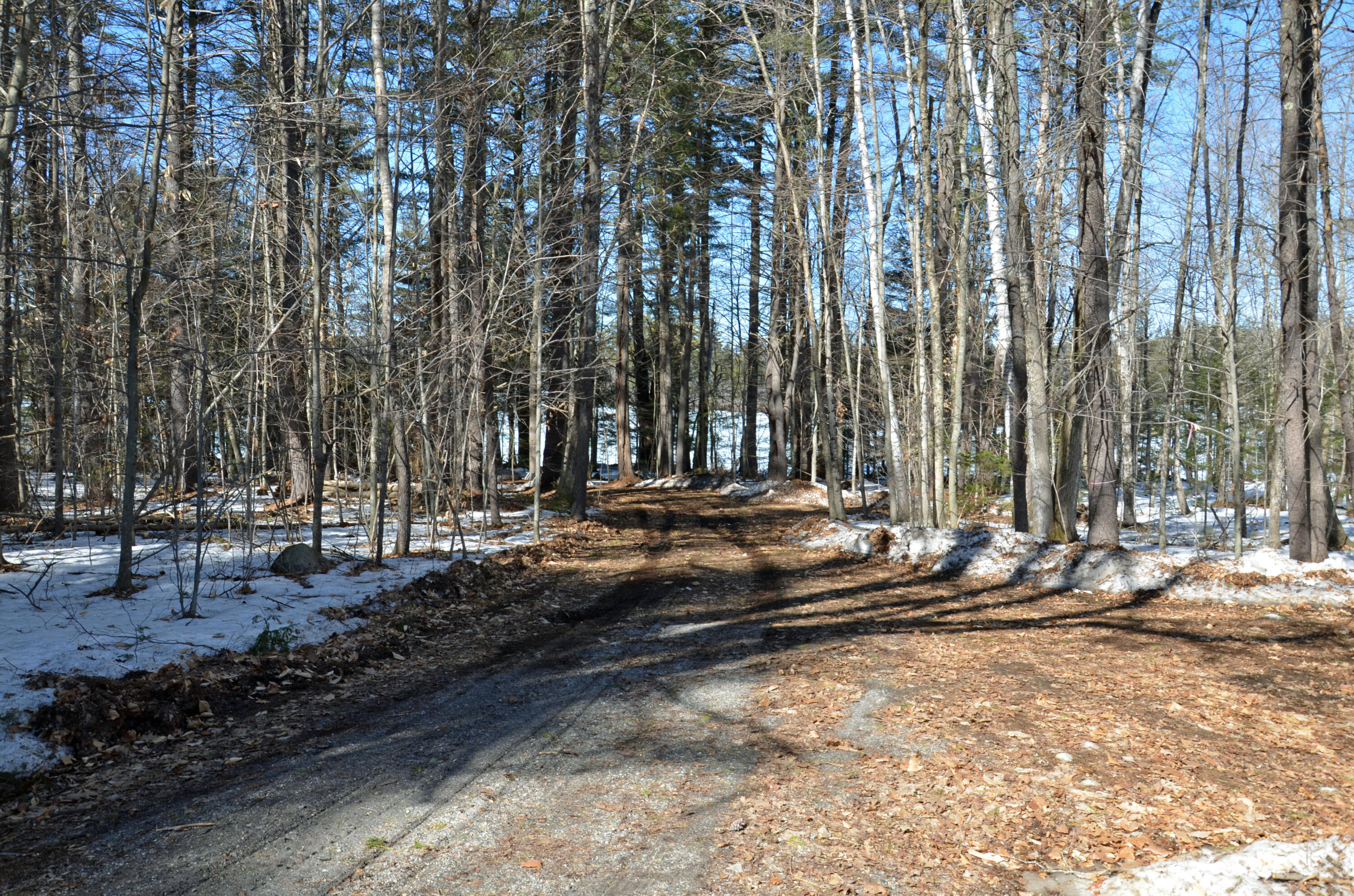 153 Temple Hill Road Harrison, ME 04040 - Photo 33 of 33 DSC_9813_edited-1