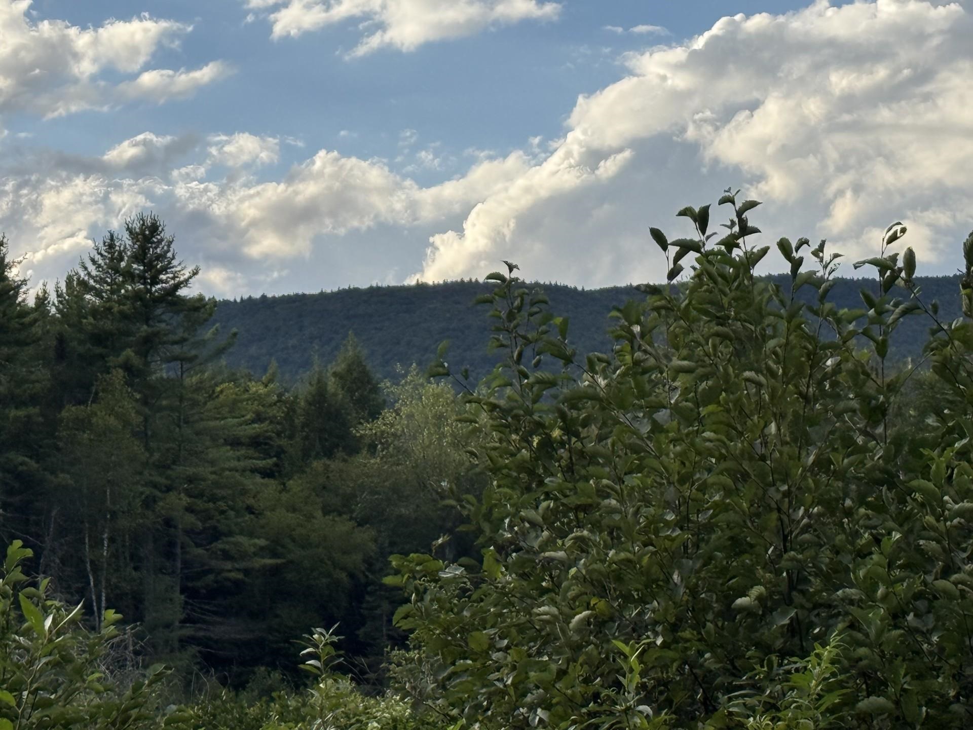 Cape Moonshine Road Piermont, NH 03779 - Photo 1 of 2 Gallery Image 1
