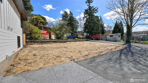 a view of a yard with plants and trees