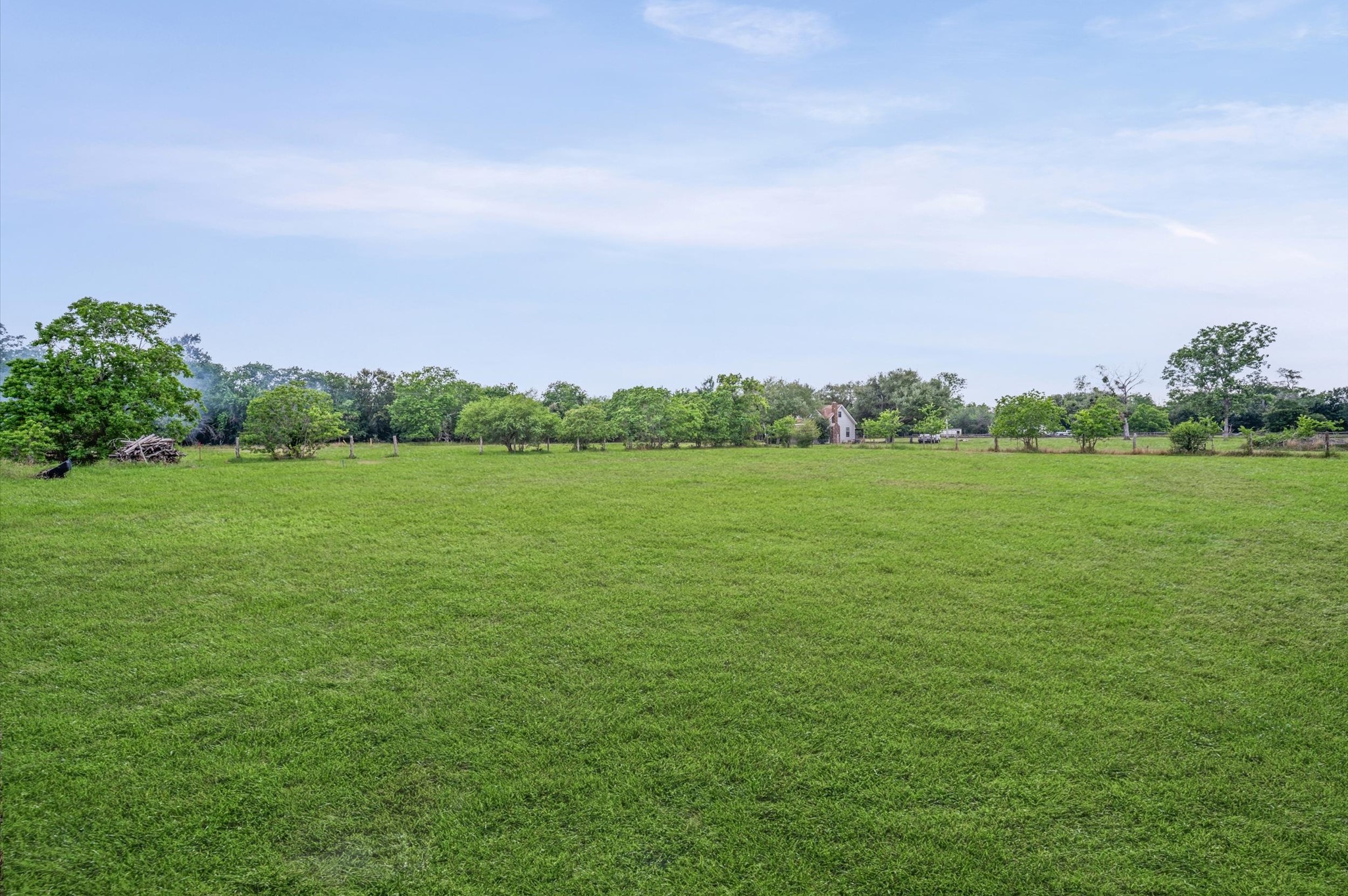 1529 Manak Road Sealy, TX 77474 - Photo 4 of 11 a view of a big yard with a house in the background