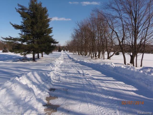 4854 Bishop Road Dryden, MI 48428 - Photo 13 of 43 4854 Bishop driveway.jpg