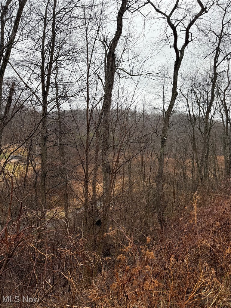 2492 Irish Ridge Road East Liverpool, OH 43920 - Photo 10 of 10