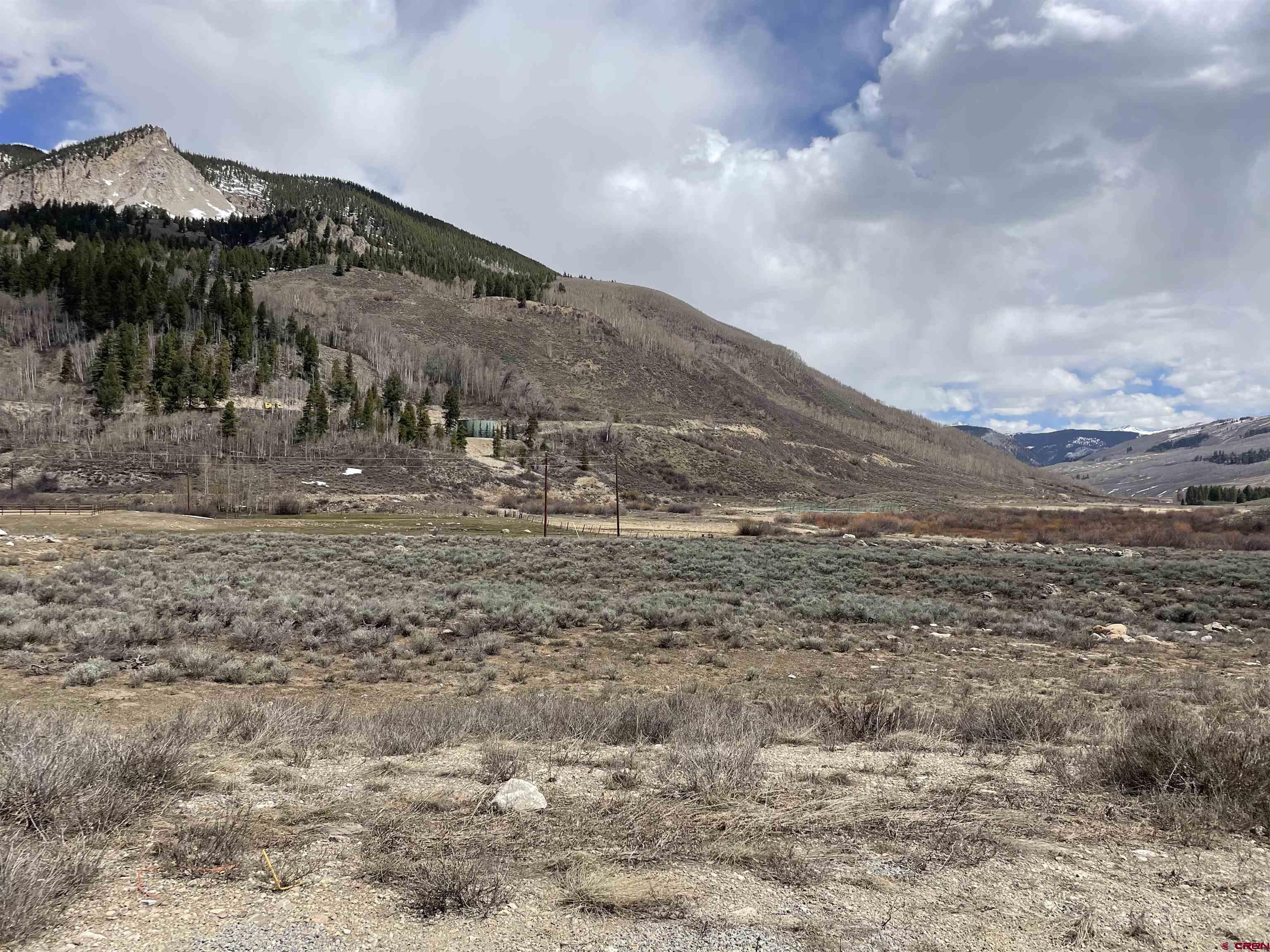 a view of a dry yard with wooden fence