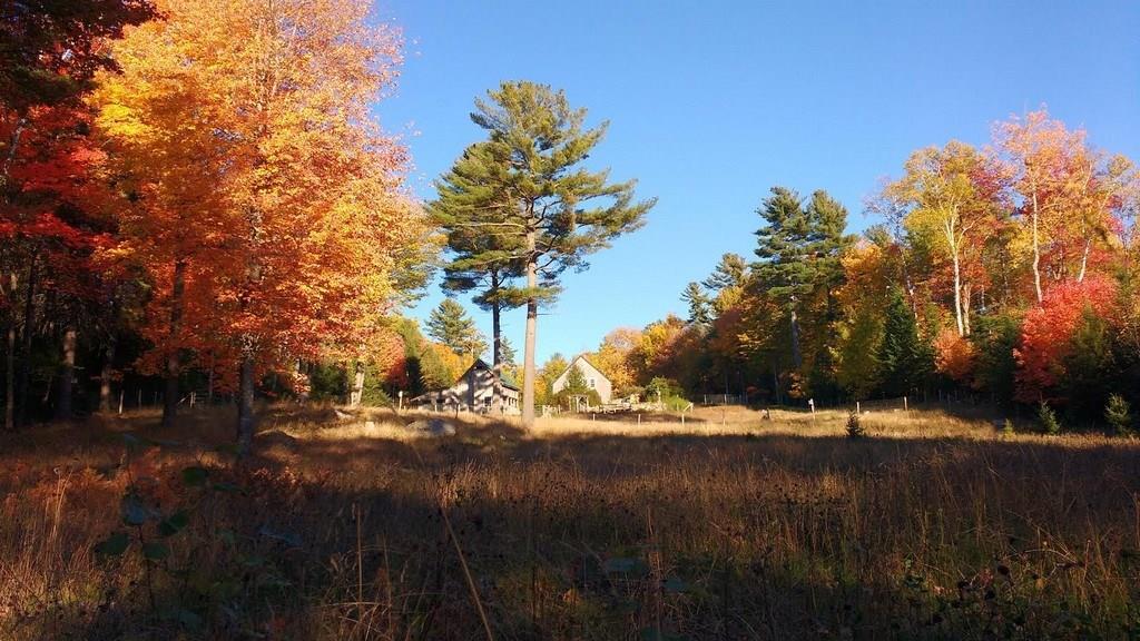 912 Great Pond Road Aurora, ME 04408 - Photo 21 of 21 Photo