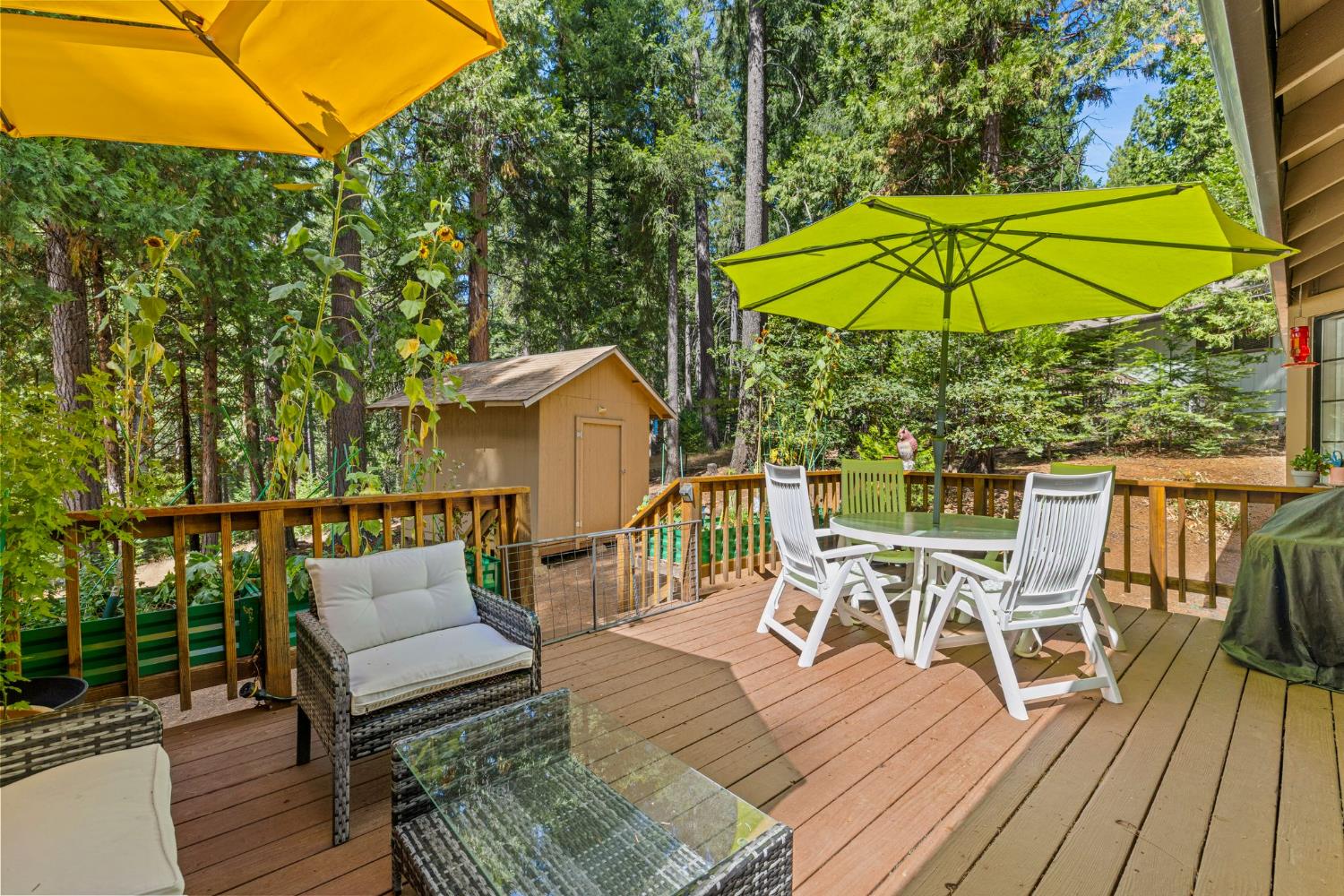 3719 Garnet Road Pollock Pines, CA 95726 - Photo 44 of 55 Gallery Image 44