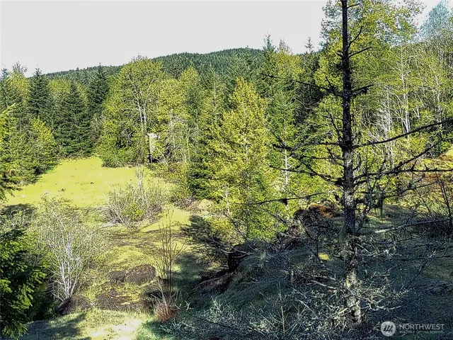 a view of a forest of a building