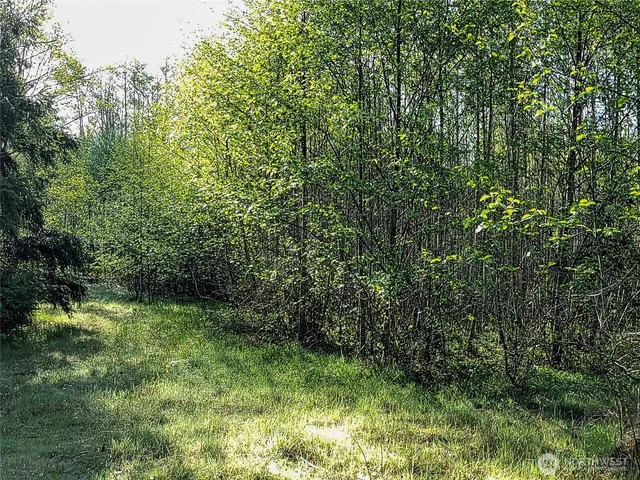 an aerial view of residential house with outdoor space and trees