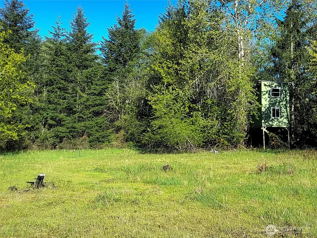 a view of outdoor space and yard