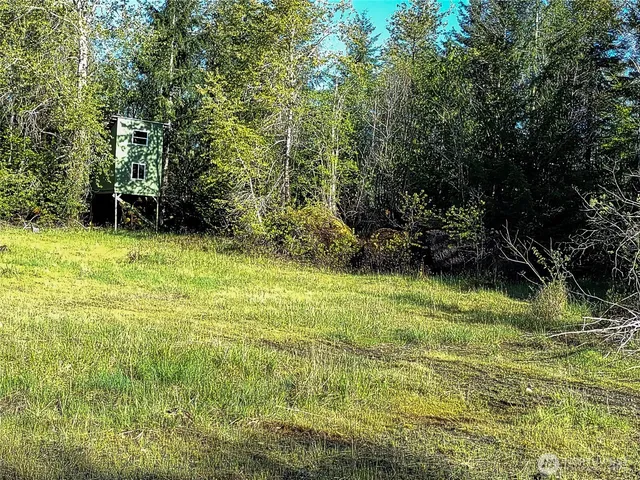 a view of a grassy area