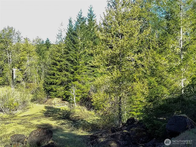 a backyard of a house with lots of plants and trees