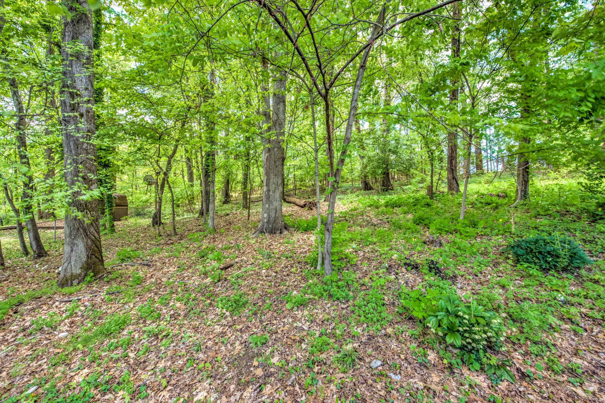 251 Iroquois Road Oak Ridge, TN 37830 - Photo 37 of 37 Gallery Image 37