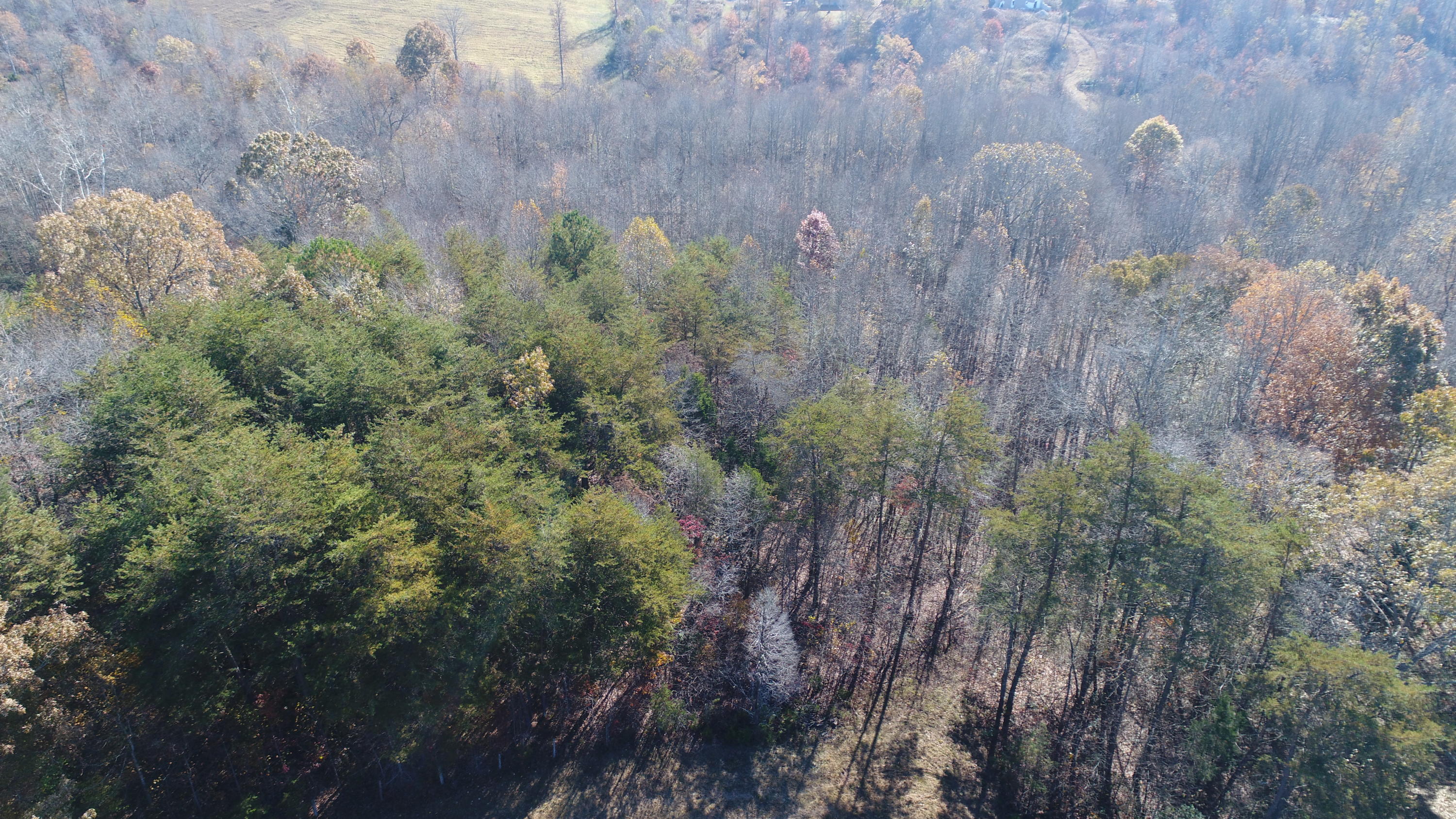 201 Goodhope Church Road Eubank, KY 42567 - Photo 2 of 28 DJI_0956