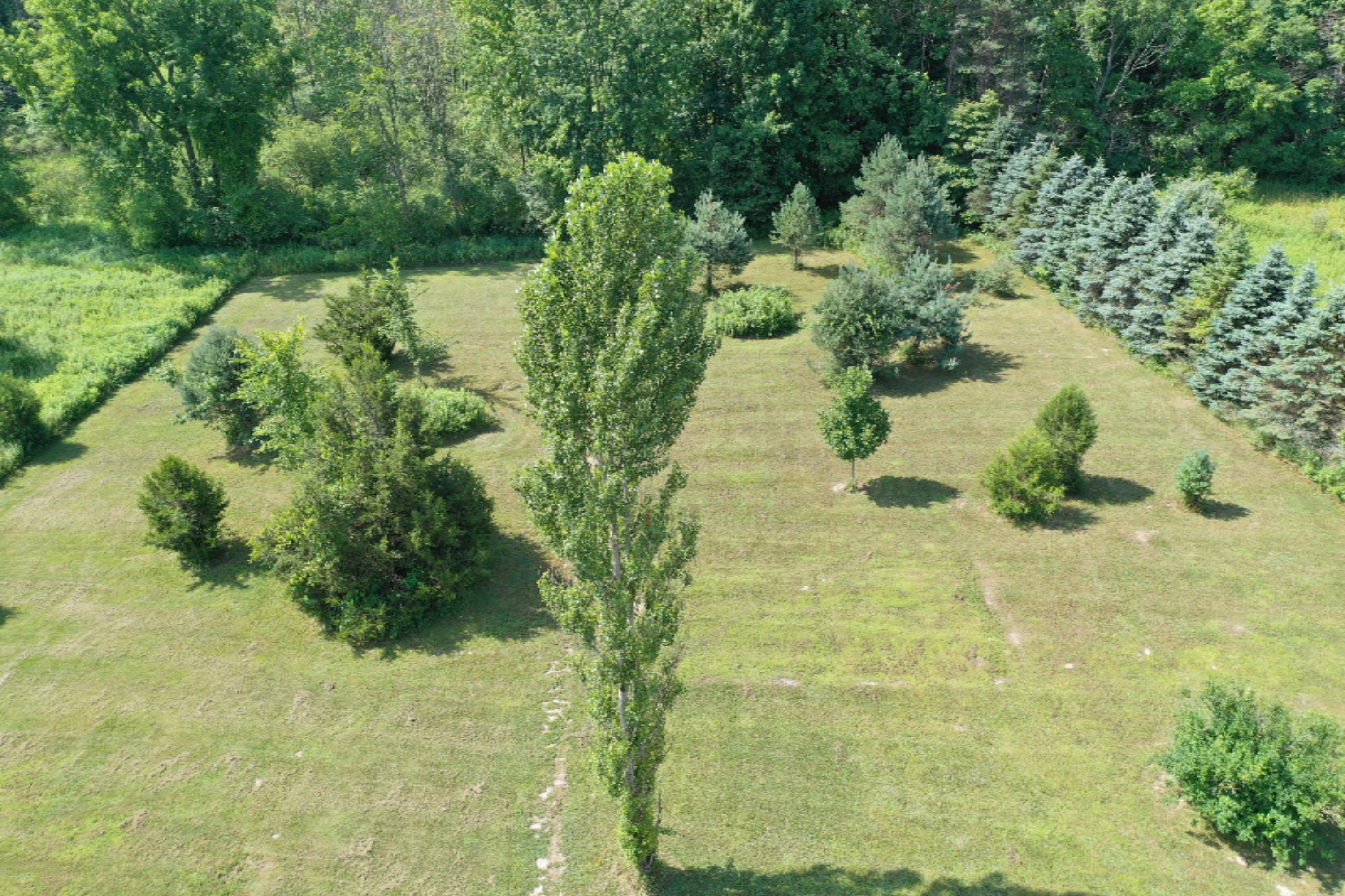 3978 Watts Road Allegan, MI 49010 - Photo 9 of 49 72329455265B309DED1B3D1AE9C0E539