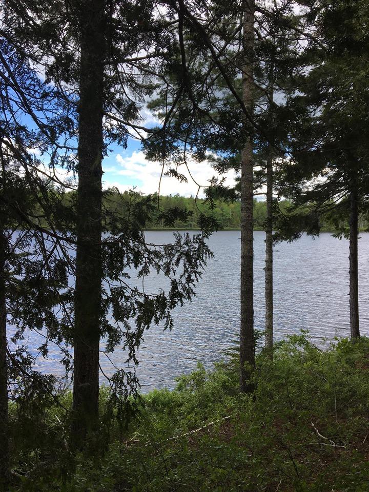Lot 515 Deer Haven Road Wesley, ME 04686 - Photo 3 of 11 65640018_2377817272308913_52643281260783