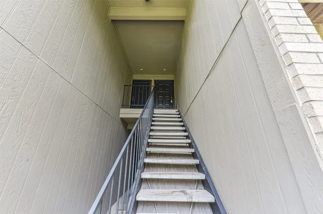 a view of a yard with plants and large trees