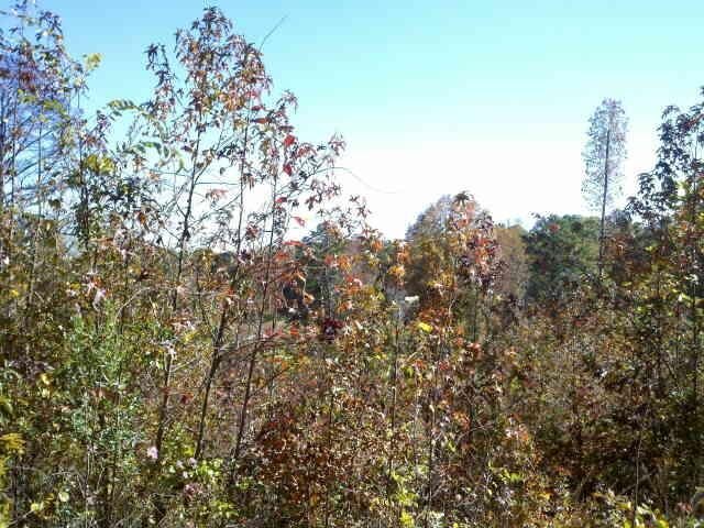 62 Flat Rock Road Stockbridge, GA 30281 - Photo 1 of 1 Gallery Image 1