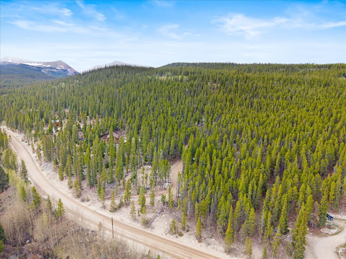 3259 Nugget Road Fairplay, CO 80440 - Photo 5 of 13